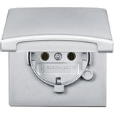 Busch-Jaeger Schutzkontakt-Steckdosen-Einsatz Schuko IP44 Unterputz mit Klappdeckel ohne aluminium, Retail