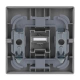 Busch-Jaeger Wippe mit Symbol Schlüssel 1789 TR-83 Retail