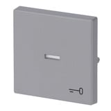 Busch-Jaeger Wippe mit Symbol Schlüssel 1789 TR-83 Retail