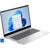 HP Envy 17-cw0074ng, Notebook silber, Windows 11 Home 64-Bit, 1 TB SSD