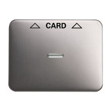 0 Zentralscheibe für Cardschalter, Abdeckung platin, Retail