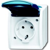 Busch-Jaeger Schutzkontakt-Steckdose 20 Einheiten EWN-53 blau, Retail