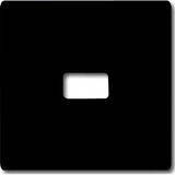 Busch-Jaeger Wippe offen für Symbol anthrazit, Retail