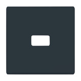 Busch-Jaeger Wippe offen für Symbol anthrazit, Retail