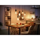 Philips HUE White Filament Lampe E27 Giant Edison ST72 550 lm, LED-Lampe 