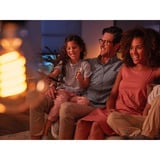 Philips HUE White Filament Lampe E27 Giant Edison ST72 550 lm, LED-Lampe 