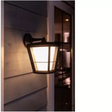 Philips HUE White & Color Ambiance Econic Outdoor hängende Wandleuchte, LED-Leuchte schwarz