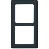 Busch-Jaeger Rahmen zwei-fach Unterputzmontage Allwetter 44 Schutzart IP44 glänzend Kunststoff anthrazit, Retail