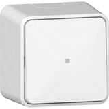 Gira Wipptaster Wechsler mit Kontrollfenster und Montageplatte einpolig aus Kunststoff weiß, Retail