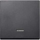Merten Wippe Kontrollfenster für Schalter und Taster Einsatz, zweiteilige Wippe, Thermoplast anthrazit, Retail