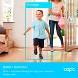 TP-Link Tapo C225, Netzwerkkamera weiß/schwarz, WLAN, 1440P