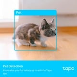 TP-Link Tapo C225, Netzwerkkamera weiß/schwarz, WLAN, 1440P