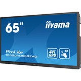 iiyama TE6504MIS-B2AG, Public Display schwarz, USB-C, UltraHD/4K, HDMI