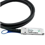 BlueOptics BlueLAN Direct Attach Kabel kompatibel zu NVIDIA MCP1600-C002 QSFP28 schwarz, 2 Meter