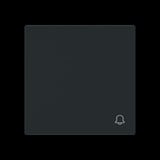 Busch-Jaeger Wippe geschlossen mit Symbol Klingel schwarz, Retail