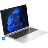 HP EliteBook 860 G10 (8A496EA), Notebook silber, Intel® Core™ i5-1335U, Intel® Iris® Xe Graphics, 16 GB DDR5, 512 GB (512 GB SSD), Windows 11 Pro 64-Bit