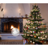 Shelly Weihnachtsbundle 2, Set 