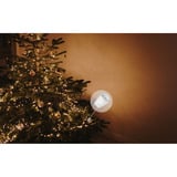 Shelly Weihnachtsbundle 2, Set 