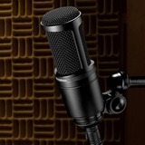 Audio Technica AT2020, Mikrofon schwarz