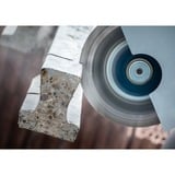 Bosch Professional Diamanttrennscheibe Expert MultiMaterial, Ø 300mm Bohrung 22,23mm