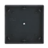 Busch-Jaeger Wippe future linear schwarz, Retail