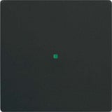 Busch-Jaeger Wippe future linear schwarz, Retail