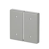 Busch-Jaeger Wippe zwei fach Elektroniktaster edelstahl, Retail