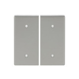 Busch-Jaeger Wippe zwei fach Elektroniktaster edelstahl, Retail