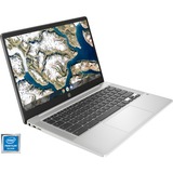 HP Chromebook 14a-na0040ng, Notebook silber/grau, Google Chrome OS
