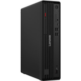 Lenovo ThinkCentre M70s Gen 6 (12YK0012GE), PC-System schwarz, Windows 11 Pro