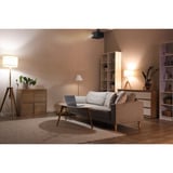 Optoma Photon Life PK31, DLP-Beamer schwarz, UltraHD/4K, 900 Lumen, Lautsprecher