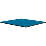 Thermal Grizzly Minus Pad Advance - 100x100x0,5 mm, Wärmeleitpads 2er Pack