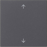 Gira Wippe einteilig mit Pfeilsymbolen anthrazit, Retail