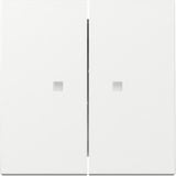 Gira Wippe zweifach mit Kontrollfenster weiß, Retail