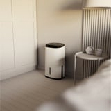 Meaco Dry Arete Two 25L Kompressor-Luftentfeuchter und Luftreiniger weiß/schwarz