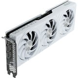Palit GeForce RTX 5070 OC WHITE, Grafikkarte DLSS 4, 3x DisplayPort, 1x HDMI 2.1