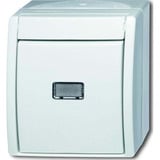 Busch-Jaeger Taster Einzeltaster Wechsler 2621 W-54-206 weiß, Retail