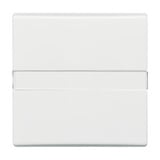 Busch-Jaeger Wippe Auswechsel mit Beschriftung 2106 N-34 Retail