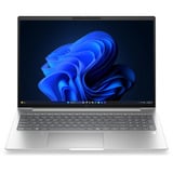 HP EliteBook 6 G2a (E02FSET), Notebook silber, AMD Ryzen 7 PRO 250, AMD Radeon 760M, 16 GB LPDDR5X, 512 GB (512 GB SSD), Windows 11 Pro