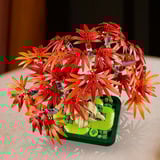 LEGO 10348 Botanicals Japanischer Roter Ahorn - Bonsai-Baum, Konstruktionsspielzeug 