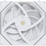 Lian Li UNI FAN TL FLEX 120 Wireless, Gehäuselüfter weiß, 120 mm