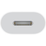 Apple USB Adapter, USB-C Stecker > Lightning Buchse weiß, gesleevt