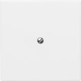 Busch-Jaeger Blindzentralscheibe mit Tragring, Blende Retail