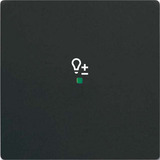 Busch-Jaeger Wippe future linear schwarz, Retail