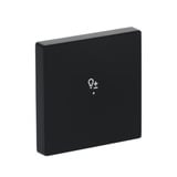 Busch-Jaeger Wippe future linear schwarz, Retail