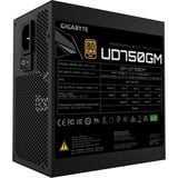 GIGABYTE GP-UD750GM 750W, PC-Netzteil schwarz, 4x PCIe, Kabel-Management, 750 Watt