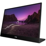 Lenovo ThinkVision M16, LED-Monitor 40.6 cm (16 Zoll), schwarz, WUXGA, IPS, USB-C