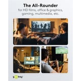 goobay DisplayPort Kabel 2.0/2.1 Slim silber/schwarz, 1 Meter