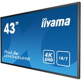 iiyama LH4342UHS-B3, Public Display schwarz, UltraHD/4K, IPS, Android