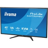 iiyama ProLite X4373UHSU-B2, LED-Monitor 108 cm (42.5 Zoll), schwarz (matt), UltraHD/4K, VA, Dual-Mode, FB, USB-Hub, KVM